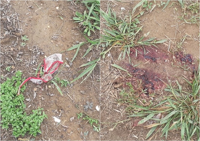 Mulher é encontrada morta a facadas em rodovia do sul da Bahia; polícia suspeita que vítima foi estuprada