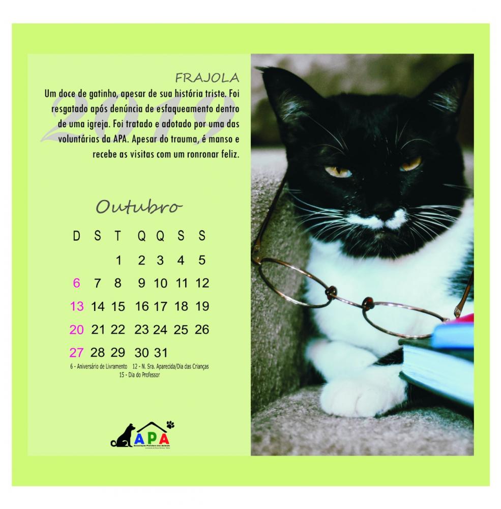 APA: ONG de Proteção animal em Livramento cria calendário que conta histórias de animais resgatados