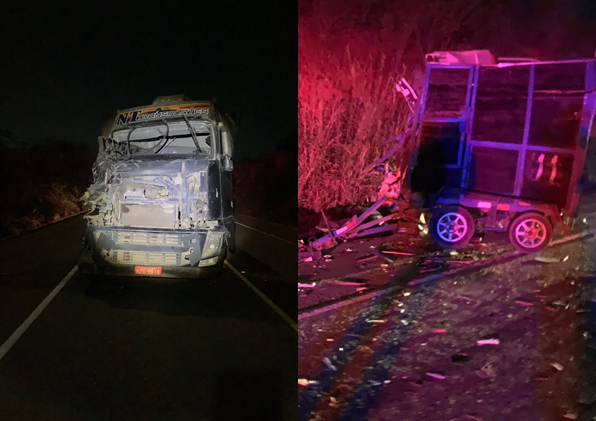 Acidente na BA-262 envolve colisão frontal entre dois veículos e resulta na morte de um cavalo