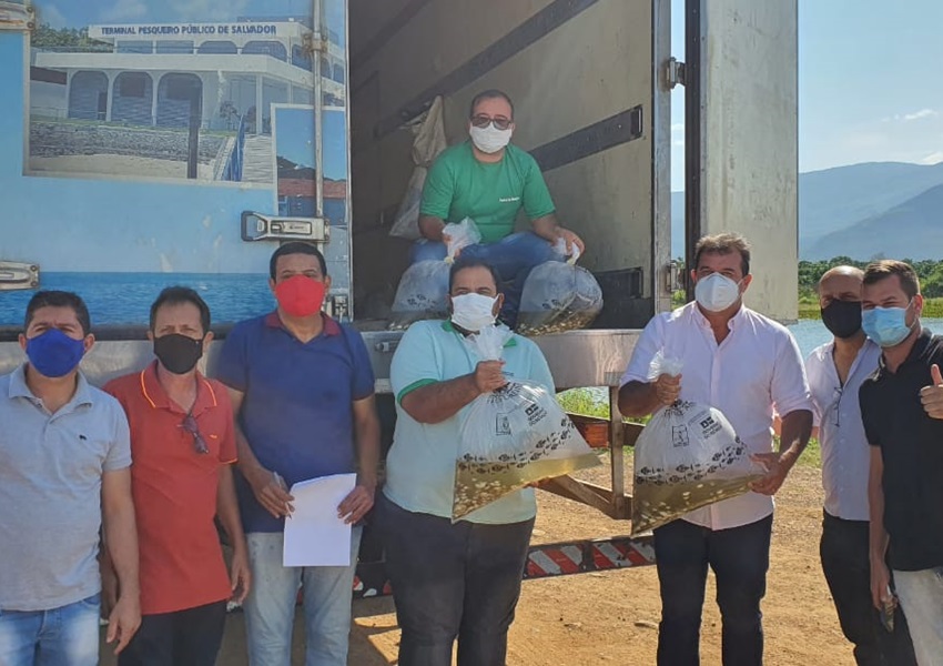 Parceria entre Prefeitura e Bahia Pesca garante doação de 50 mil alevinos para Livramento