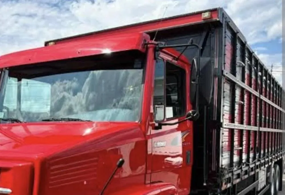 Polícia apreende caminhão com 44 bois transportados sem documentação em Tanhaçu