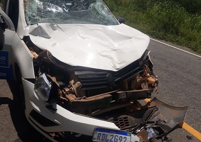 Veículo da prefeitura de Érico Cardoso colide com animal entre Caturama e Botuprã