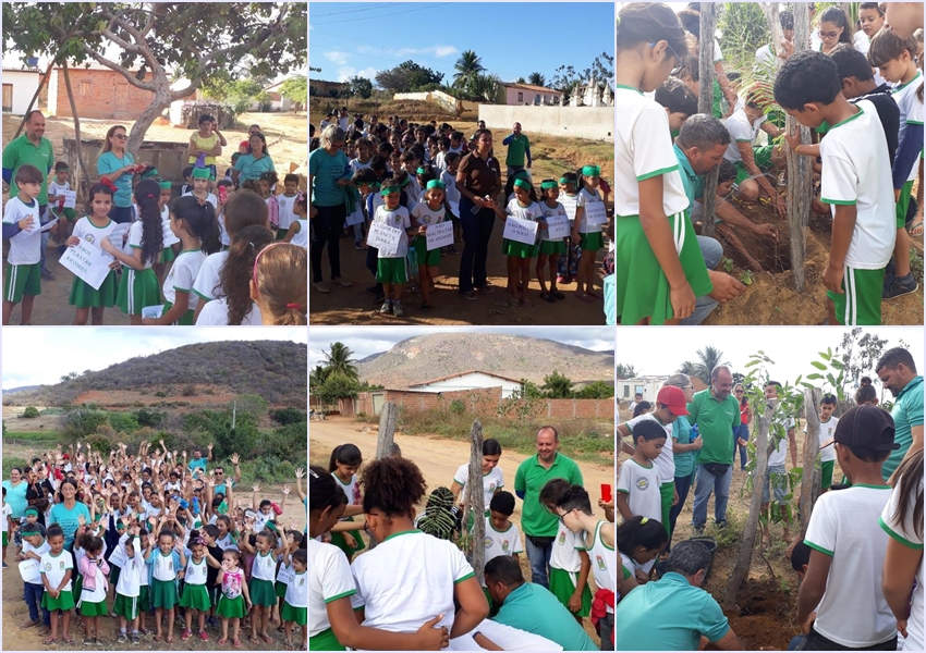 Dia Mundial do Meio Ambiente é comemorado em Livramento
