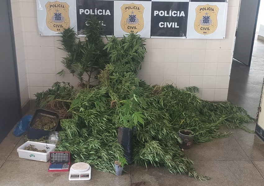 Rio de Contas: homem é preso em flagrante acusado do crime de Tráfico de Drogas