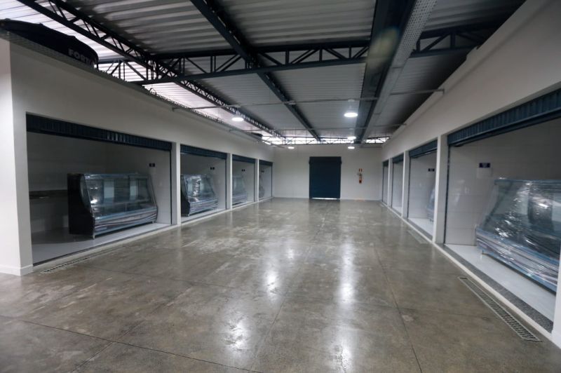 Galeria da notícia