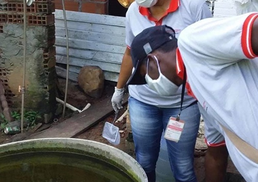 Casos de dengue aumentam 43% na Bahia