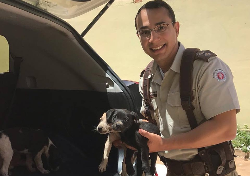 Solidariedade: Animais são resgatados embaixo da ponte do Rio Taquari em Livramento