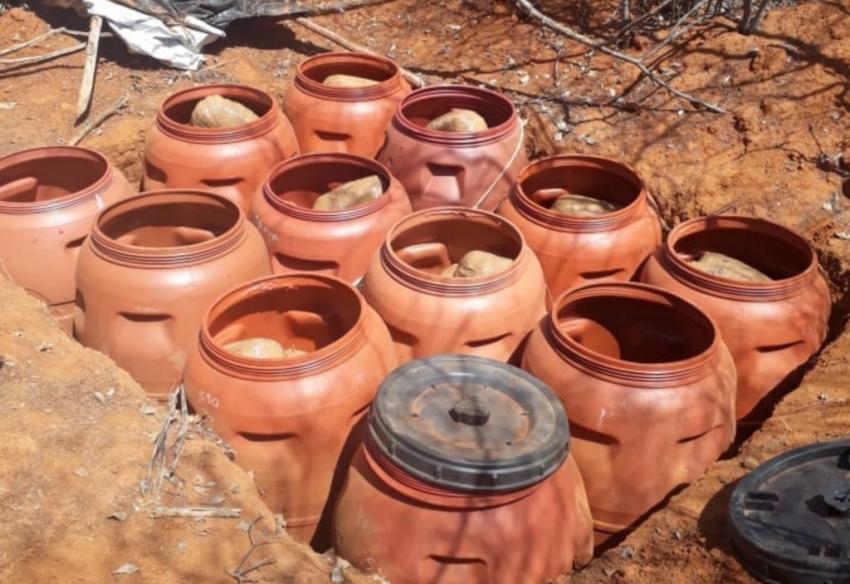 Livramento: Polícia encontra aproximadamente 1 tonelada de maconha na comunidade de Itapicuru, durante busca a assaltantes de carro forte