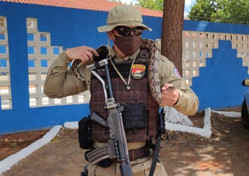  Livramento: Militares da Ronda Rural recolhem jibóia e a devolvem a natureza