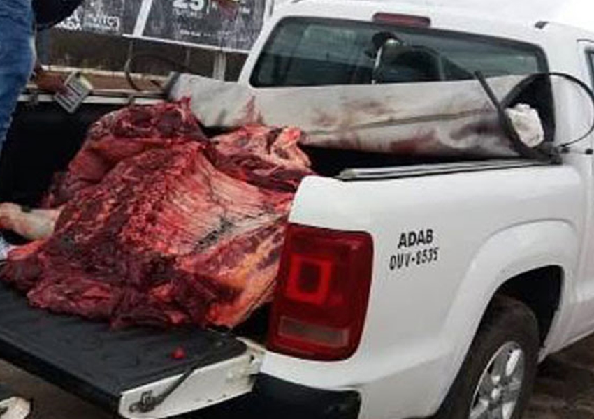 Lagoa Real: Adab apreende cerca de 300 quilos de carne bovina em Pancadão