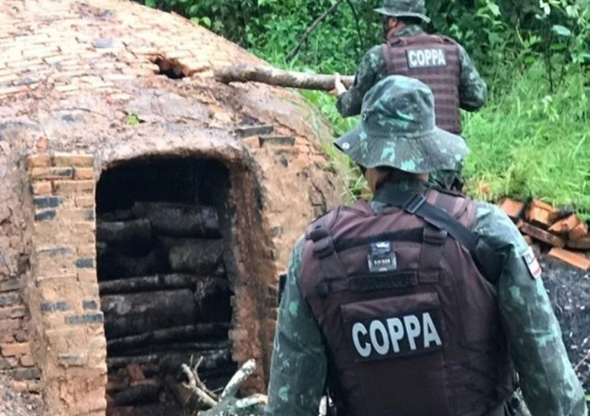 Pojuca: Polícia desarticula serraria e carvoaria ilegais