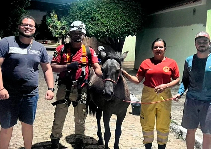 Potro é resgatado com vida após cair em poço de quase nove metros em Livramento