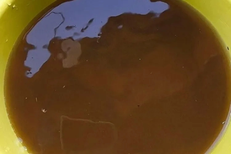 Consumidora reclama da qualidade da água fornecida pelo SAAE de Dom Basílio
