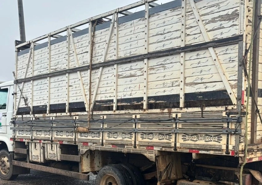Polícia Rodoviária apreende veículo por transporte irregular de bovinos em Brumado