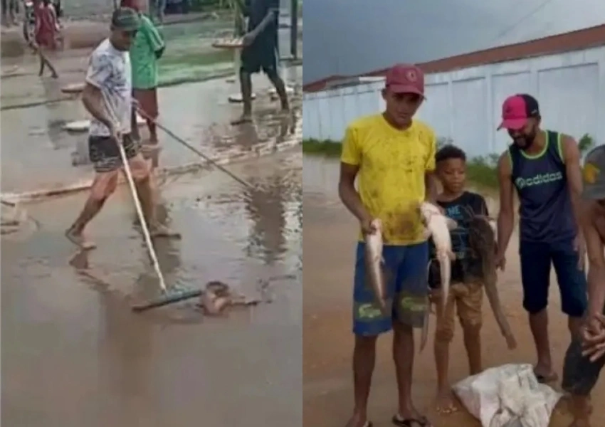 Após forte chuva, moradores encontram peixes espalhados pelas ruas em Ipiaú