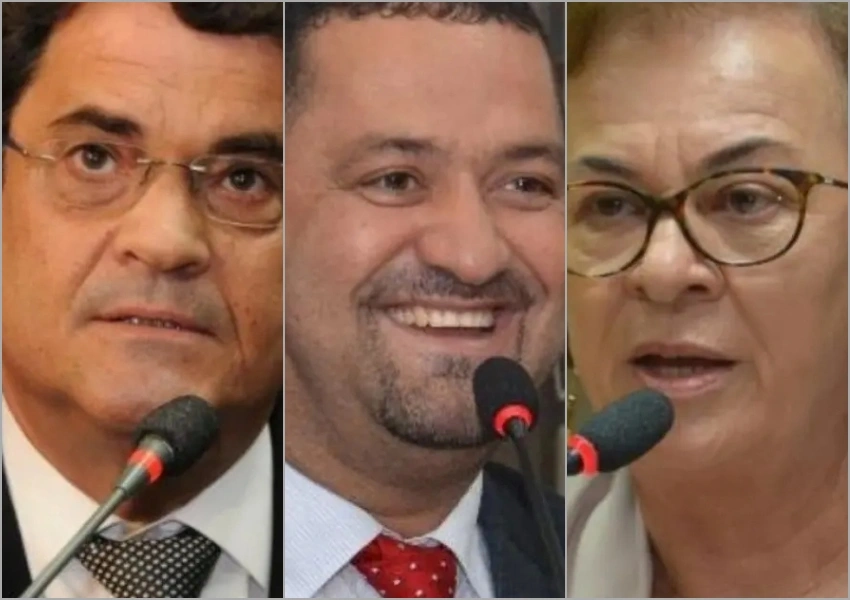 Neusa Cadore assume liderança do PT na Assembleia Legislativa da Bahia