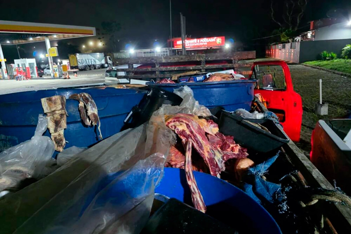 Quase uma tonelada de carne clandestina é apreendida no sul da Bahia; motorista é preso