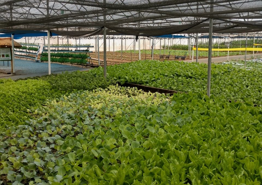 IRRIGADANTAS integra grupo de agronegócio em missão técnica a Israel