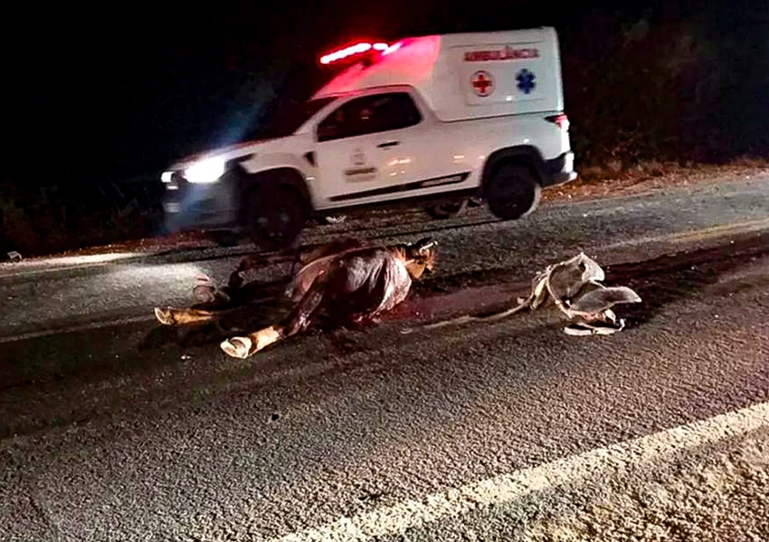 Grave acidente envolvendo cavalo e veículo deixa homem em estado grave em Caetité