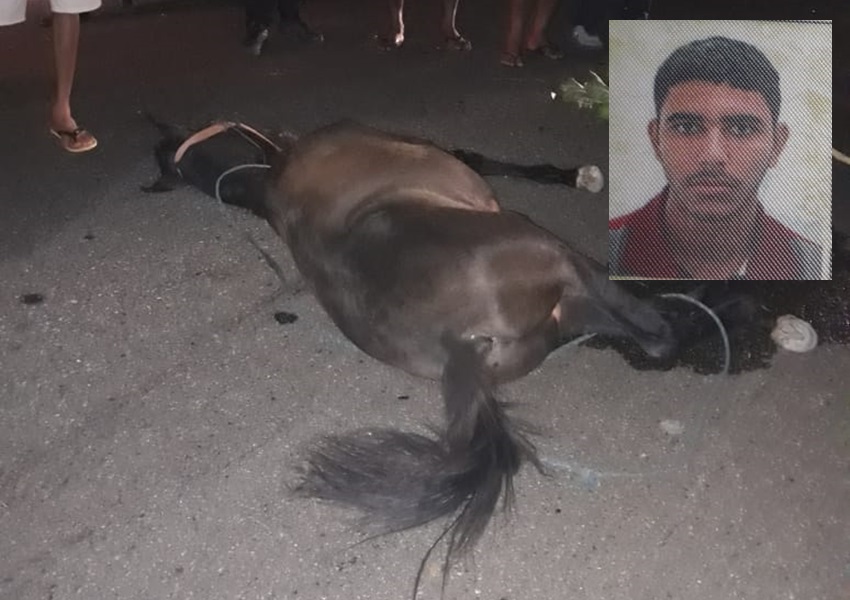 Livramento: Motociclista fica ferido após atingir cavalo na BA-148