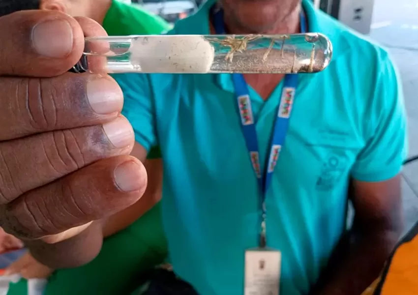 Casos de dengue no Brasil caem 60% nas primeiras semanas de 2025