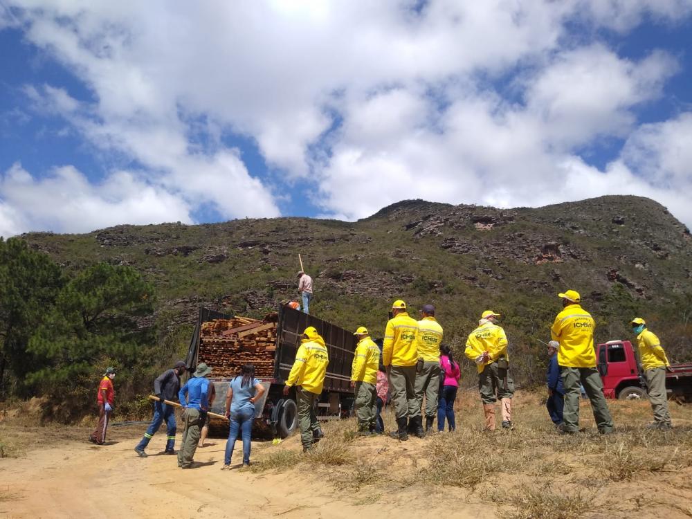 MPF destina madeira apreendida na Bahia a entidades beneficentes e ao Parque Nacional da Chapada Diamantina