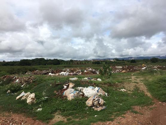 Galeria da notícia