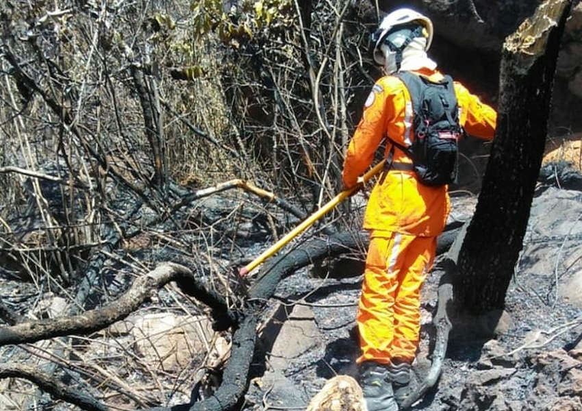 Incêndio atinge vegetação em Érico Cardoso