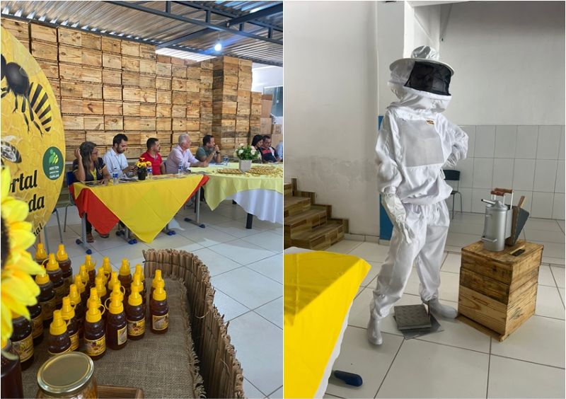 Galeria da notícia