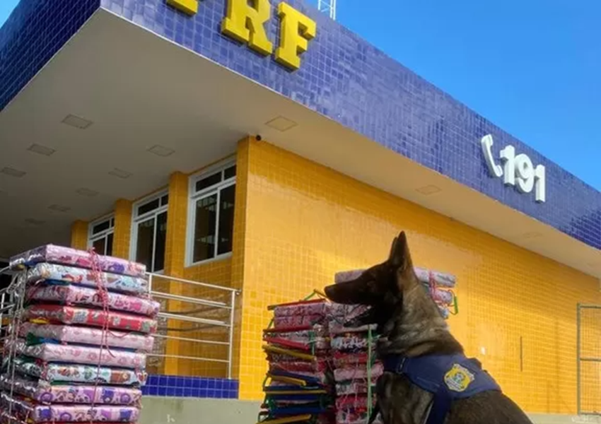 PRF apreende 53 Kg de maconha durante abordagem a ônibus em Vitória da Conquista