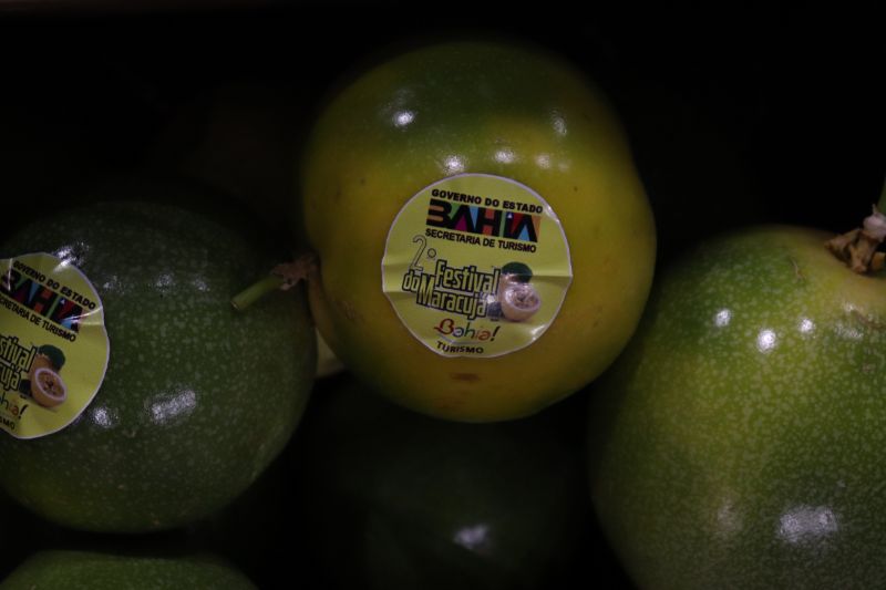 Galeria da notícia
