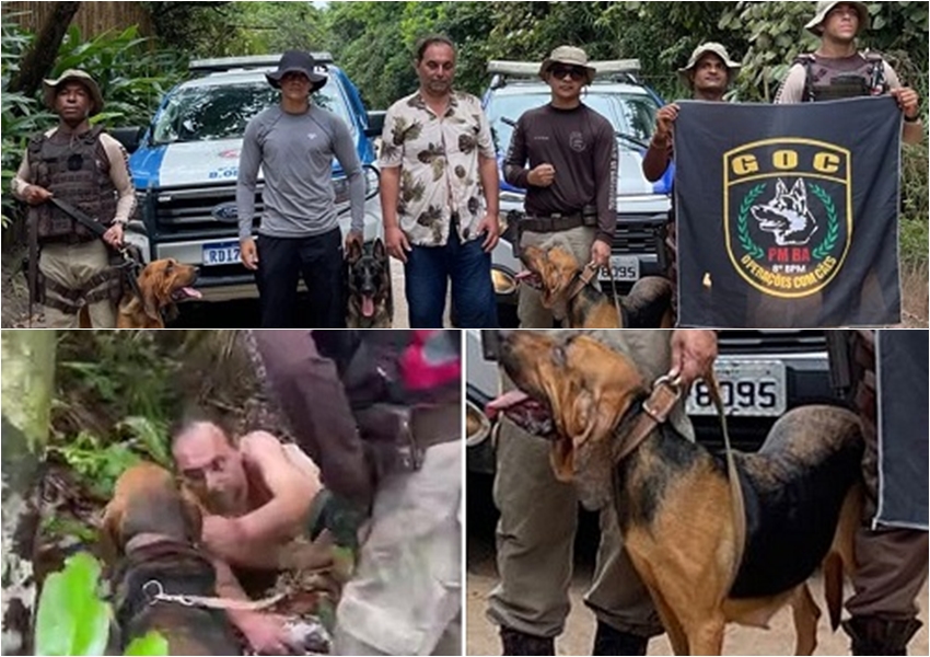 Cadelas da polícia encontram italiano desaparecido há 4 dias em Arraial d’Ajuda
