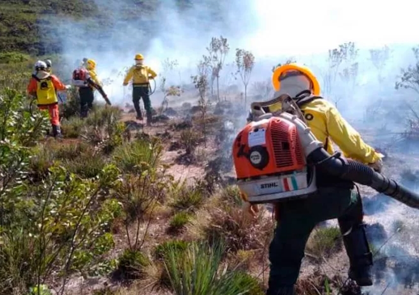 Combate aos incêndios florestais segue como uma das prioridades na Bahia