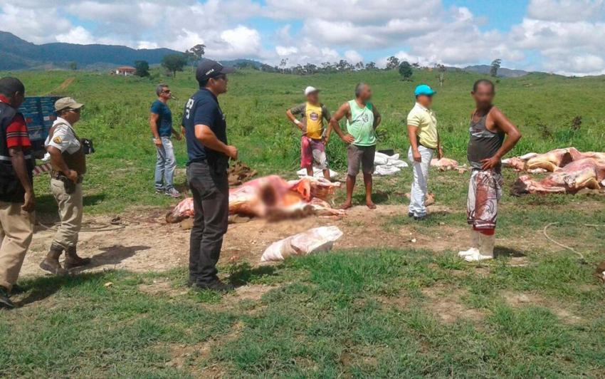 Polícia apreende 2,5 toneladas de carne e suspeita que gado foi alvo de roubo na Bahia