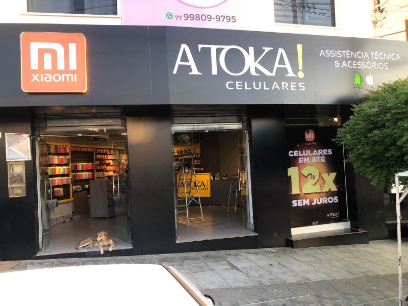 Galeria da notícia