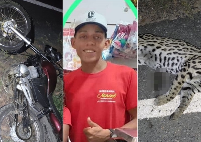 Motociclista morre após atropelar onça e ser atingido por caminhão na BA-160