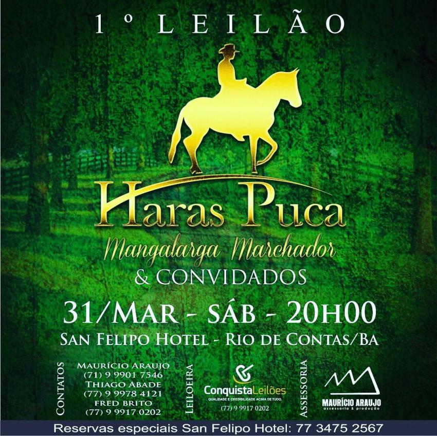 Rio de Contas receberá o 1º Leilão Haras Puca e Convidados