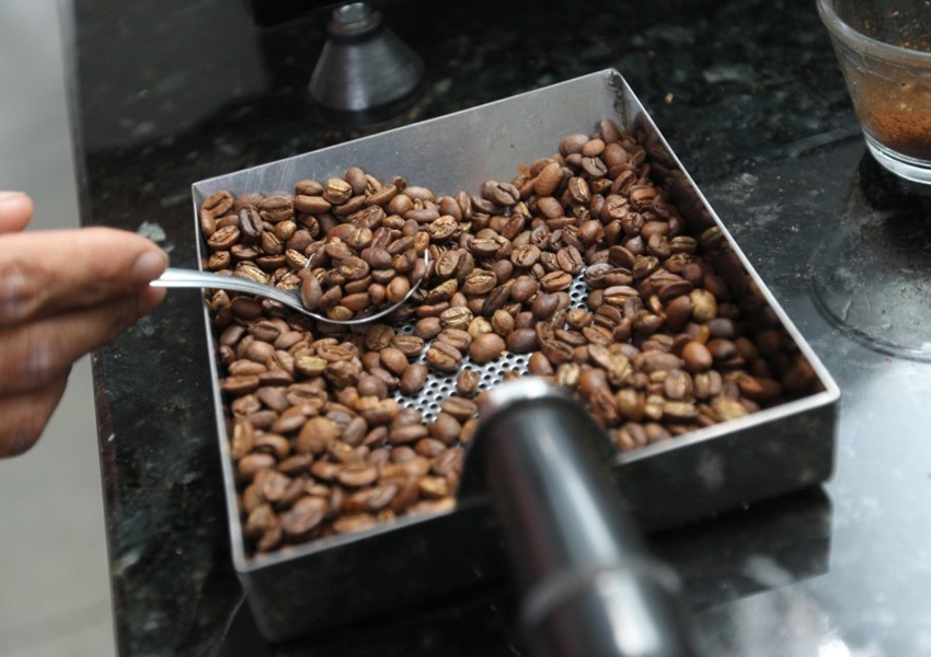 Café do sudoeste recebe R$ 5 milhões em investimentos através do programa Bahia Produtiva