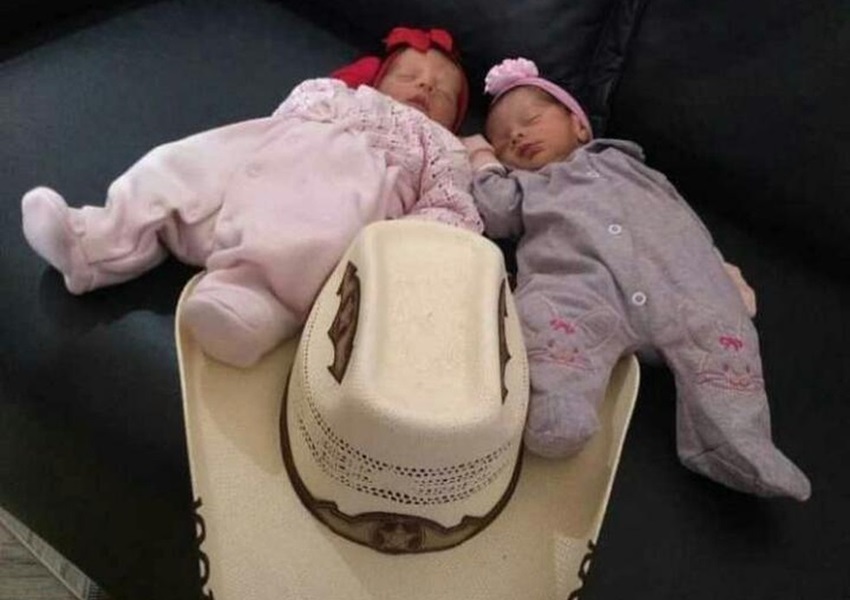 Piripá: Polícia Civil investiga morte de recém-nascidas gêmeas que foram atacadas por cachorro da família