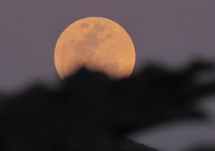 'Superlua de esturjão' vista nesta quinta-feira, a última superlua do ano 