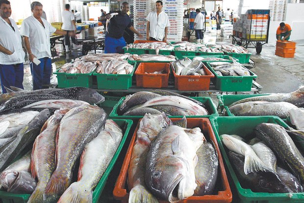 Pesquisadores concluem que doença que deixa urina escura é causada por consumo de peixe