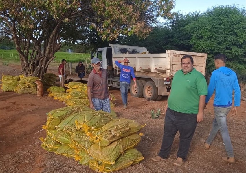 Prefeitura de Livramento e CDSTBP distribuem mais de 160.000 mudas de palma doce para produtores rurais