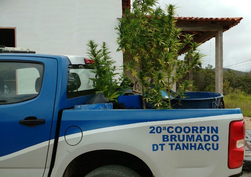 Maetinga: Mulher é morta a pauladas e facadas; companheiro da vítima é suspeito de cometer crime