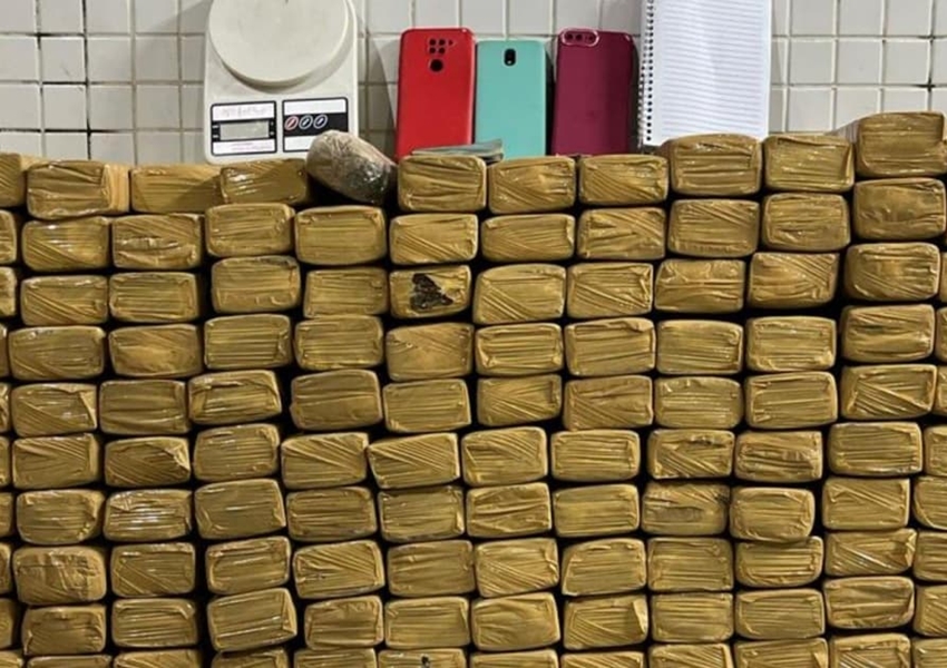 Ação policial resulta na apreensão de 163 kg de maconha em Salvador