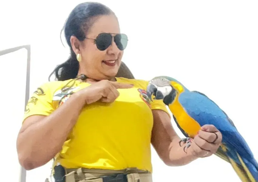 Voluntários resgatam arara em Livramento e entregam à Polícia Ambiental