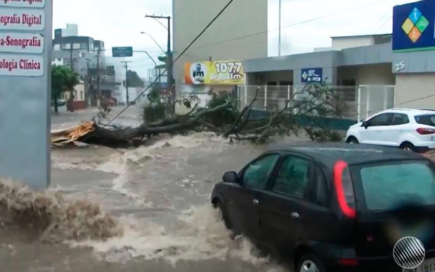 Temporal alaga ruas e derruba árvores em Vitória da Conquista