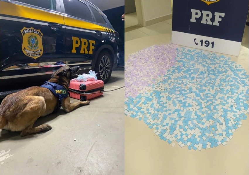Polícia Rodoviária Federal apreende grande quantidade de Ecstasy em ônibus na BR-116, Vitória da Conquista
