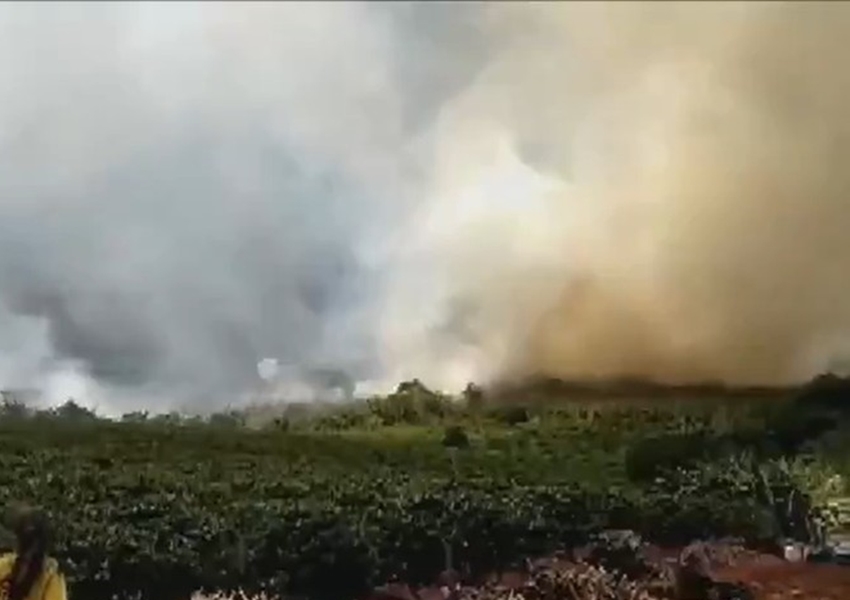 Focos de incêndio são registrados em área de vegetação na Chapada Diamantina