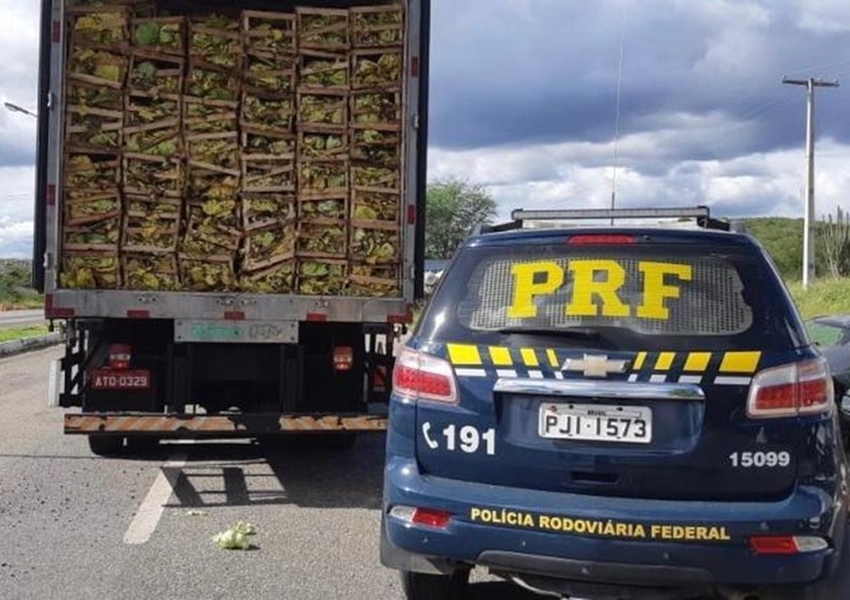 Caminhoneiro é preso com mais de 275 mil maços de cigarro contrabandeados
