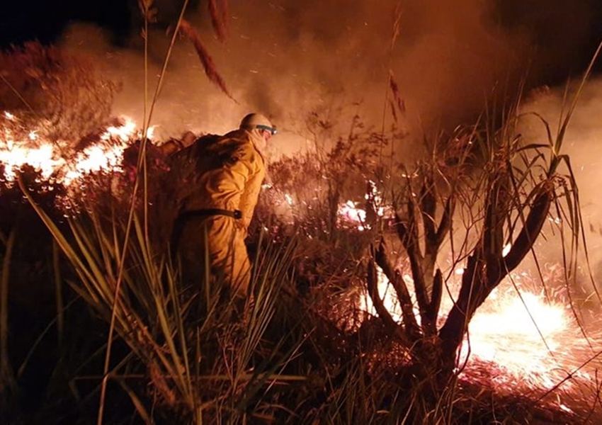 Incêndio atinge área florestal na cidade de Andaraí, região da Chapada Diamantina